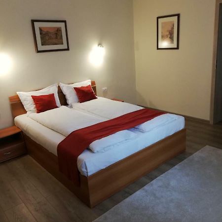 Vila Nicopole Art & Wine Brasov Exterior photo